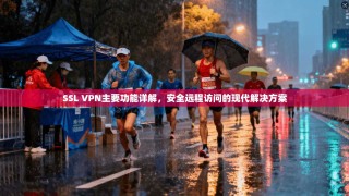 SSL VPN主要功能详解，安全远程访问的现代解决方案