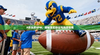 P开头的VPN，揭秘常见协议与选择指南