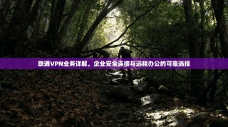 联通VPN业务详解，企业安全连接与远程办公的可靠选择