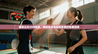 国家出台VPN政策，网络安全与合规发展的新里程碑
