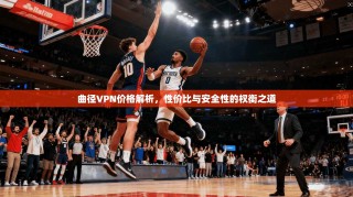 曲径VPN价格解析，性价比与安全性的权衡之道