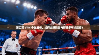 蒲公英 VPN 个数解析，如何合理配置与管理多节点连接？