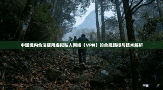 中国境内合法使用虚拟私人网络（VPN）的合规路径与技术解析
