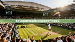 无极VPN被禁用后的网络访问策略与替代方案解析