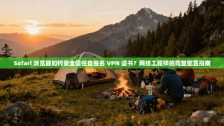 Safari 浏览器如何安全信任自签名 VPN 证书？网络工程师的完整配置指南