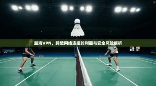 越海VPN，跨境网络连接的利器与安全风险解析
