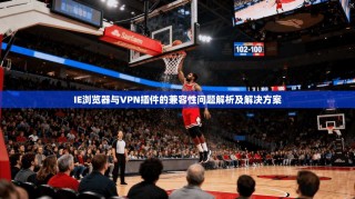 IE浏览器与VPN插件的兼容性问题解析及解决方案