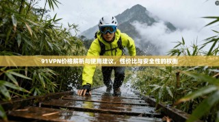 91VPN价格解析与使用建议，性价比与安全性的权衡