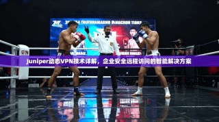 Juniper动态VPN技术详解，企业安全远程访问的智能解决方案