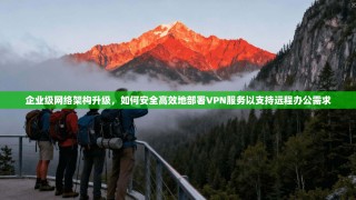企业级网络架构升级，如何安全高效地部署VPN服务以支持远程办公需求
