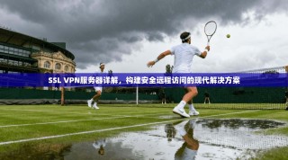 SSL VPN服务器详解，构建安全远程访问的现代解决方案