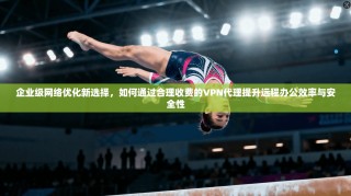 企业级网络优化新选择，如何通过合理收费的VPN代理提升远程办公效率与安全性