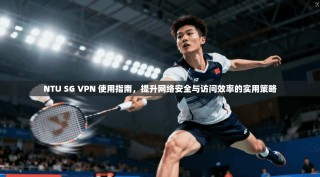 NTU SG VPN 使用指南，提升网络安全与访问效率的实用策略