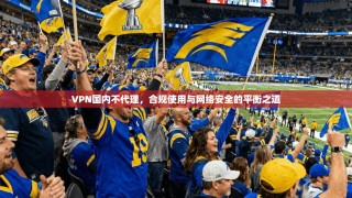 VPN国内不代理，合规使用与网络安全的平衡之道