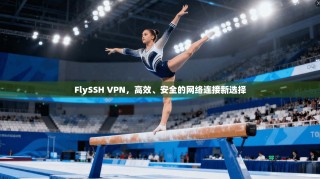 FlySSH VPN，高效、安全的网络连接新选择