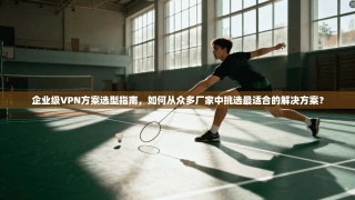 企业级VPN方案选型指南，如何从众多厂家中挑选最适合的解决方案？