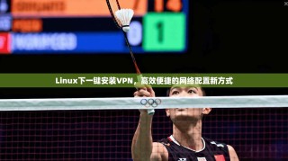 Linux下一键安装VPN，高效便捷的网络配置新方式