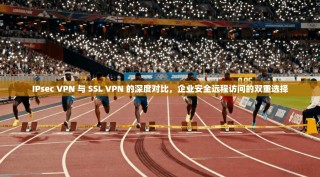 IPsec VPN 与 SSL VPN 的深度对比，企业安全远程访问的双重选择
