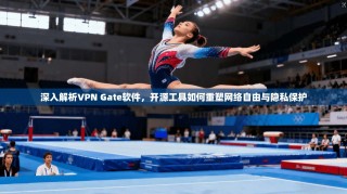 深入解析VPN Gate软件，开源工具如何重塑网络自由与隐私保护