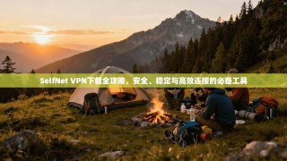 SelfNet VPN下载全攻略，安全、稳定与高效连接的必备工具