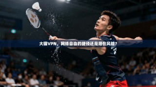 大猫VPN，网络自由的捷径还是潜在风险？