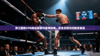 浙江国税VPN地址获取与使用指南，安全合规访问税务系统