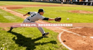 红色拳头VPN，技术与合规之间的灰色地带解析