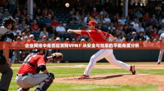 企业网络中是否应支持VPN？从安全与效率的平衡角度分析