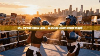 SSL VPN系统协议详解，安全远程访问的关键技术解析