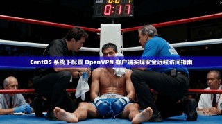 CentOS 系统下配置 OpenVPN 客户端实现安全远程访问指南