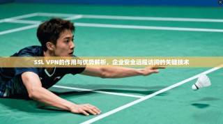 SSL VPN的作用与优势解析，企业安全远程访问的关键技术