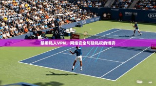 禁用私人VPN，网络安全与隐私权的博弈