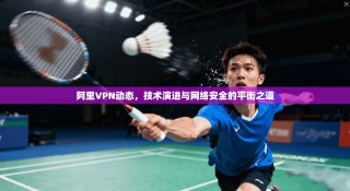 阿里VPN动态，技术演进与网络安全的平衡之道