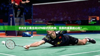 手机左上角出现VPN标识的真相，你真的需要担心吗？