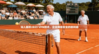 深入解析2BSS VPN技术，企业网络安全的新利器