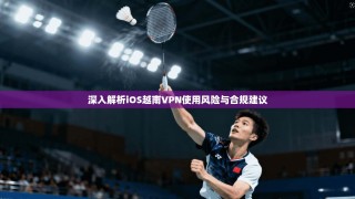 深入解析iOS越南VPN使用风险与合规建议