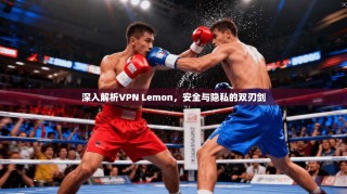 深入解析VPN Lemon，安全与隐私的双刃剑