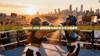 HostUS VPN 使用指南与网络安全性深度解析