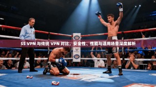 SS VPN 与传统 VPN 对比，安全性、性能与适用场景深度解析