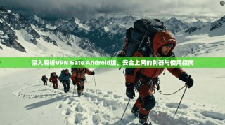 深入解析VPN Gate Android版，安全上网的利器与使用指南