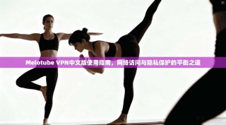 Melotube VPN中文版使用指南，网络访问与隐私保护的平衡之道