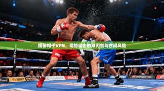 揭秘帽子VPN，网络自由的双刃剑与合规风险