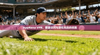 AppNana VPN，便捷访问与潜在风险的权衡