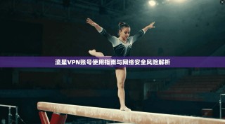 流星VPN账号使用指南与网络安全风险解析