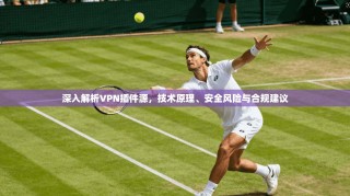 深入解析VPN插件源，技术原理、安全风险与合规建议