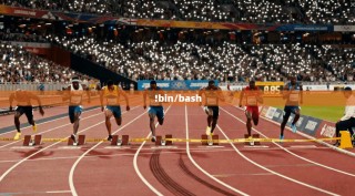 !bin/bash