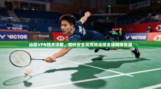 远程VPN技术详解，如何安全高效地连接全球网络资源