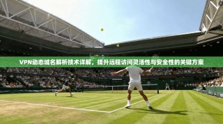 VPN动态域名解析技术详解，提升远程访问灵活性与安全性的关键方案