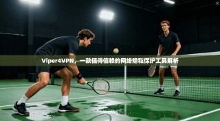 Viper4VPN，一款值得信赖的网络隐私保护工具解析