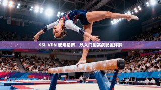 SSL VPN 使用指南，从入门到实战配置详解